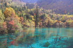 九寨沟门票团购,实惠价格，畅游童话世界