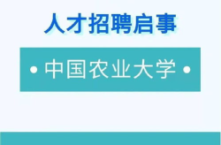 辽宁人才招聘网最新招聘2022,求职者的就业指南