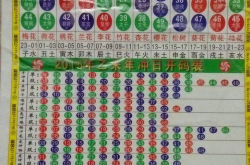 2020生肖号码波色表图,色彩与生肖的神秘对应