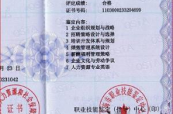 人力资源管理师三级,专业能力与职业素养提升之道
