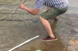 大鱼吃瓜娱乐,揭秘娱乐圈幕后故事