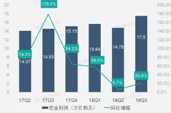 营业利润,核心业务盈利的财务奥秘”