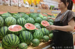 吃瓜网多少钱,揭秘热门八卦背后的价格之谜