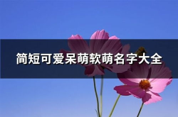 简短可爱名字呆萌,揭秘可爱名字背后的温馨故事