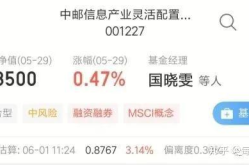 中邮基金590003,稳健增长，多元化配置的混合型基金解析