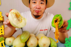 网红吃瓜泡泡,揭秘娱乐圈幕后真相