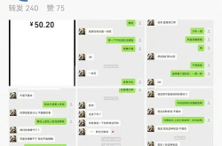 女网红吃瓜聊天记录,娱乐圈幕后故事大曝光
